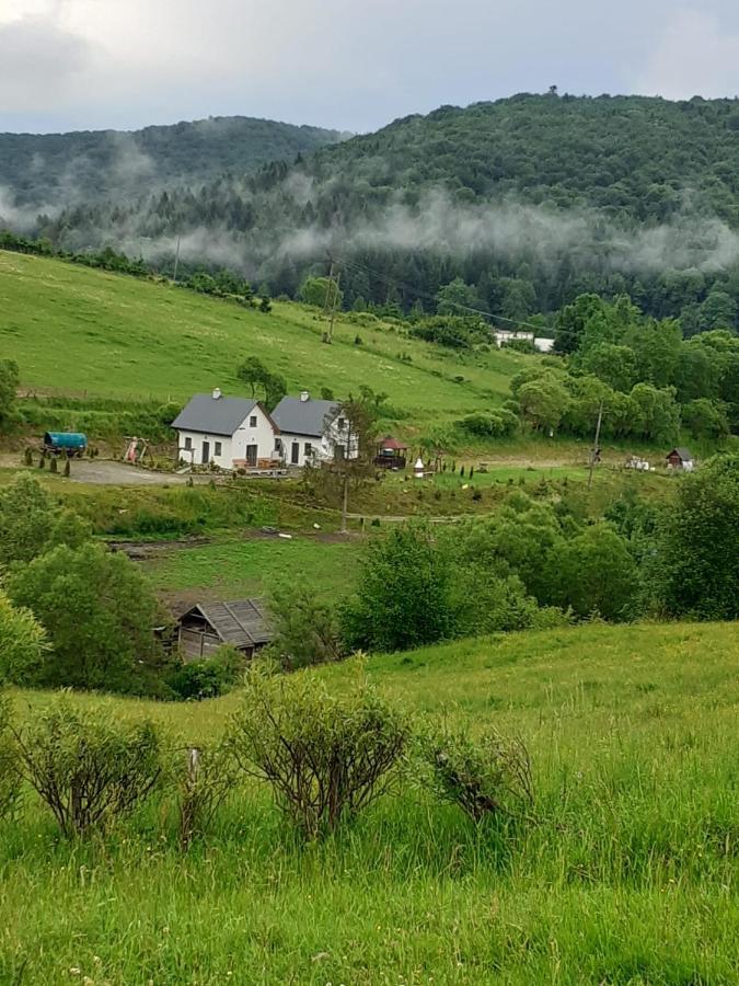 Domki W Bieszczadzkiej Dolinie Устшики-Дольне Экстерьер фото